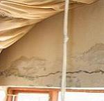 Damp on Window Frame